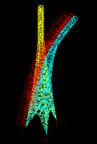 structural design